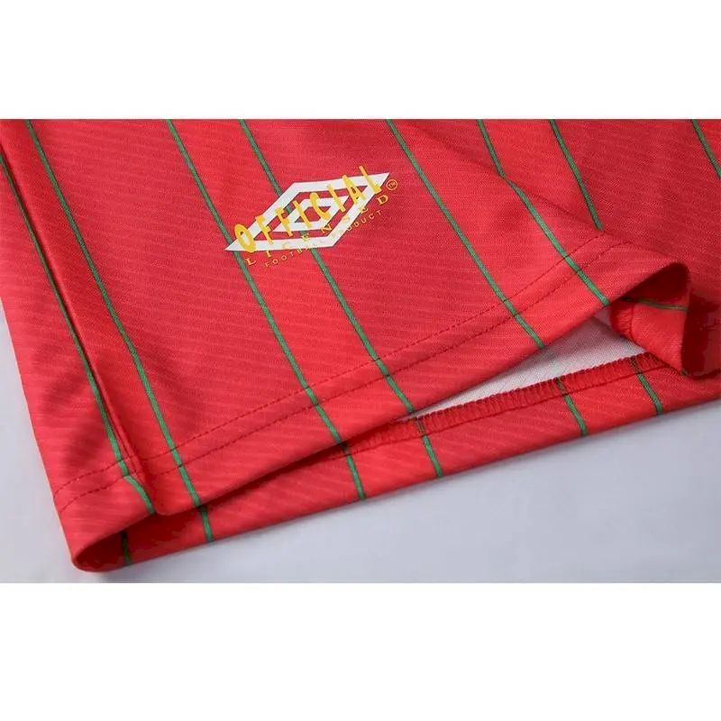 2023050805500594.jpg Retro Wales 1994/96 Home Jersey - Image 3