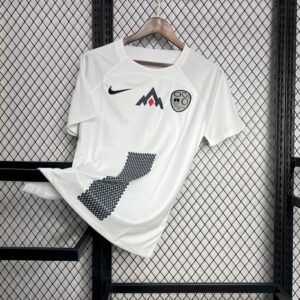 Mens Slovenia 2024/25 Euro Home Jersey