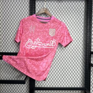 Mens CD Palestino 2023/24 Pink pre-match Jersey