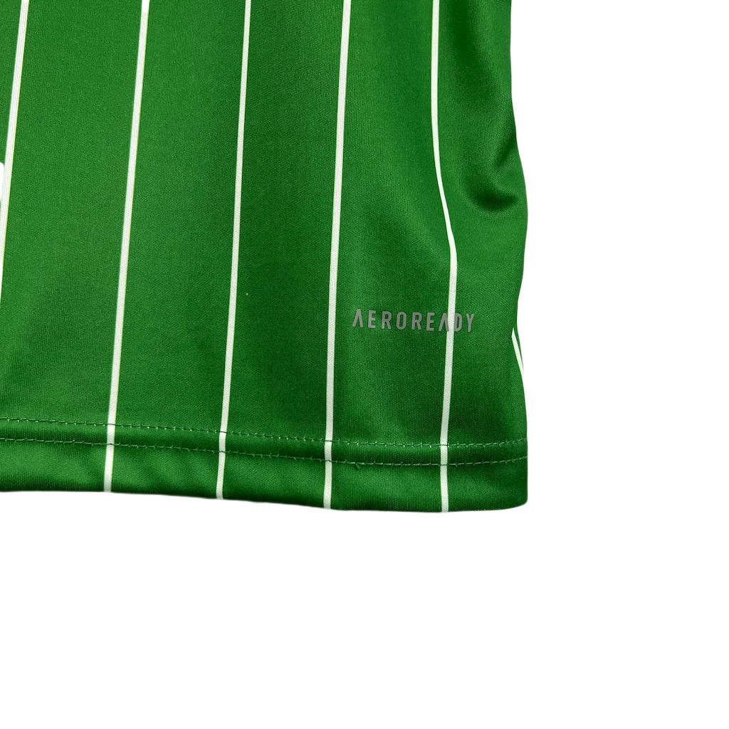 2024091314482574.jpg Mens Celtic 2024/25 Commemorative Edition Jersey - Image 7