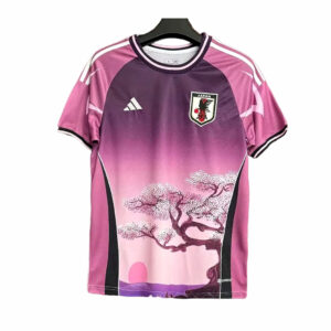 Mens Japan 2024/25 Special Edition Jersey