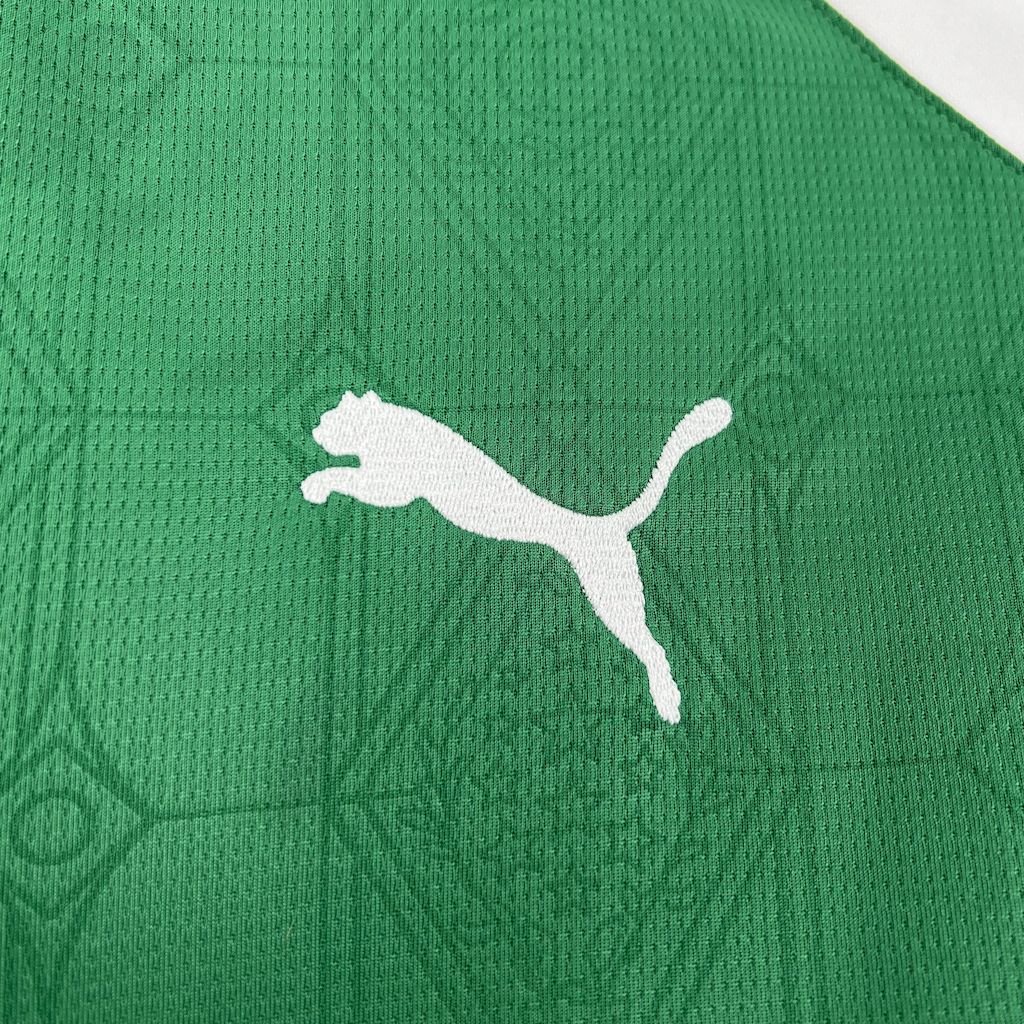 2025022815421588.jpg Mens Palmeiras 2025/26 Home Jersey - Image 6