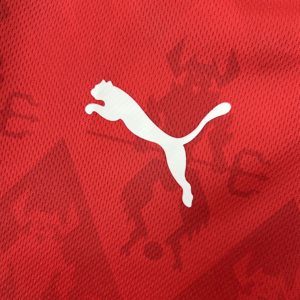 2025030211454154.jpg Mens Club Atlético Independiente 2025/26 Home Jersey - Image 13