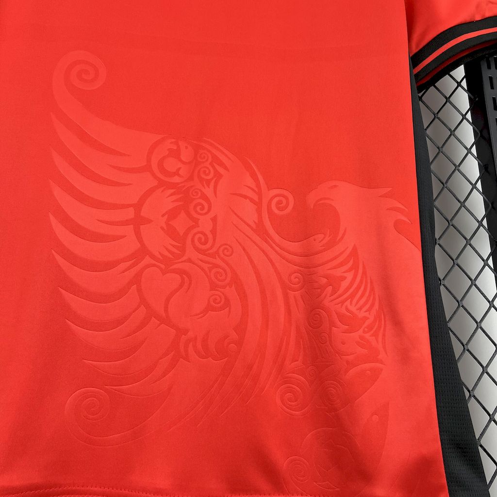 2025041014401095.jpg Mens Albania 2025/26 Home Jersey - Image 5