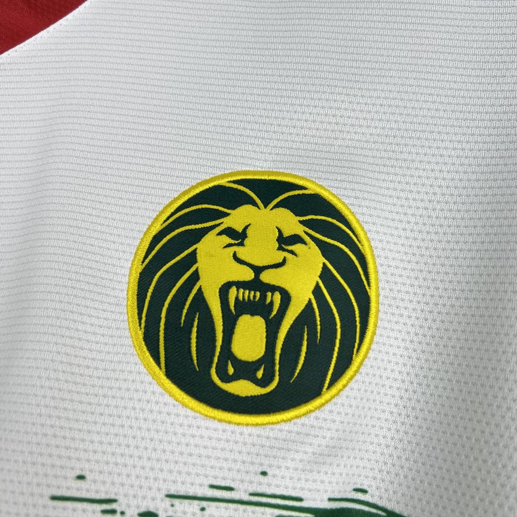 2025041314080056.jpg Mens Cameroon 2025/26  Third Jersey - Image 5
