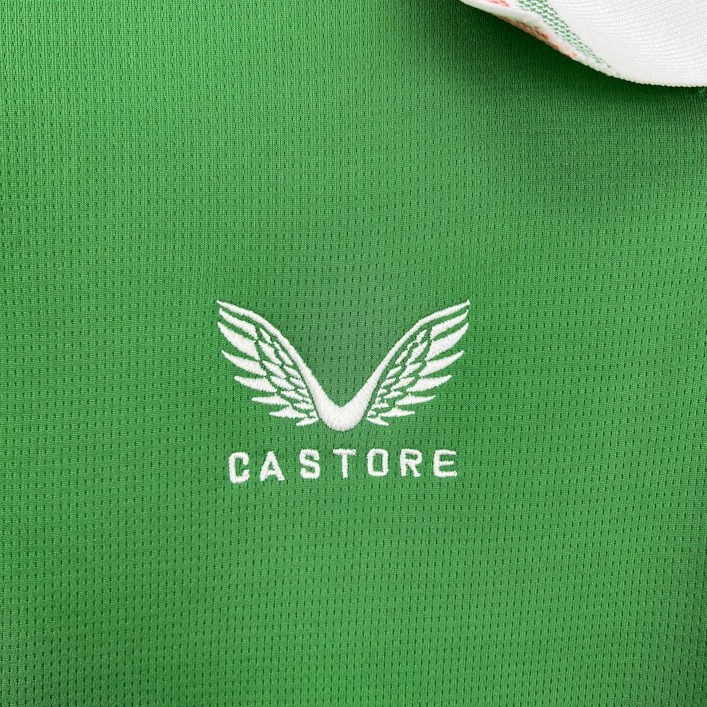 2025050915565879.jpg Mens Ireland 2025/26 Home Jersey - Image 8