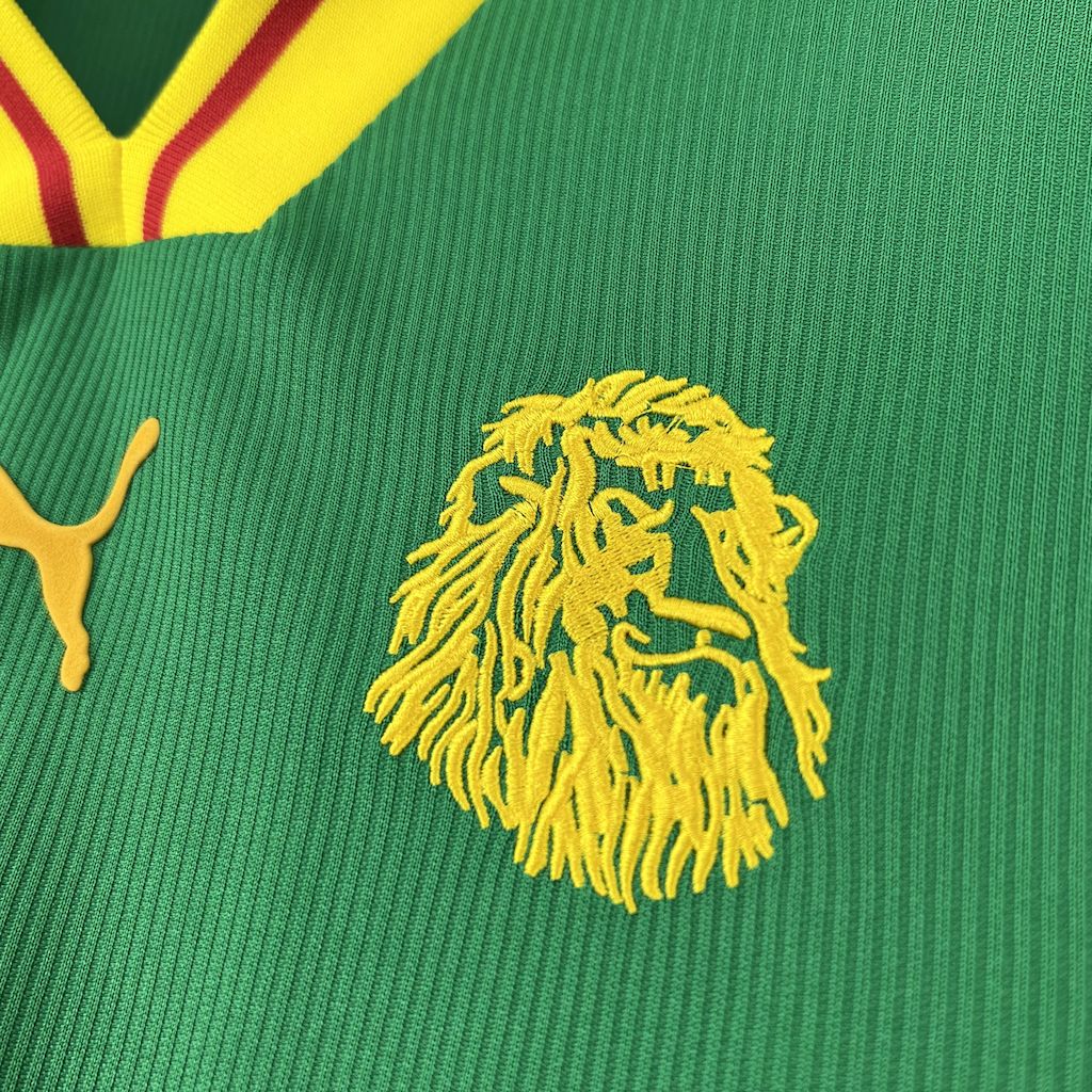 2025061311390257.jpg Retro Cameroon 1998 Home Jersey - Image 5