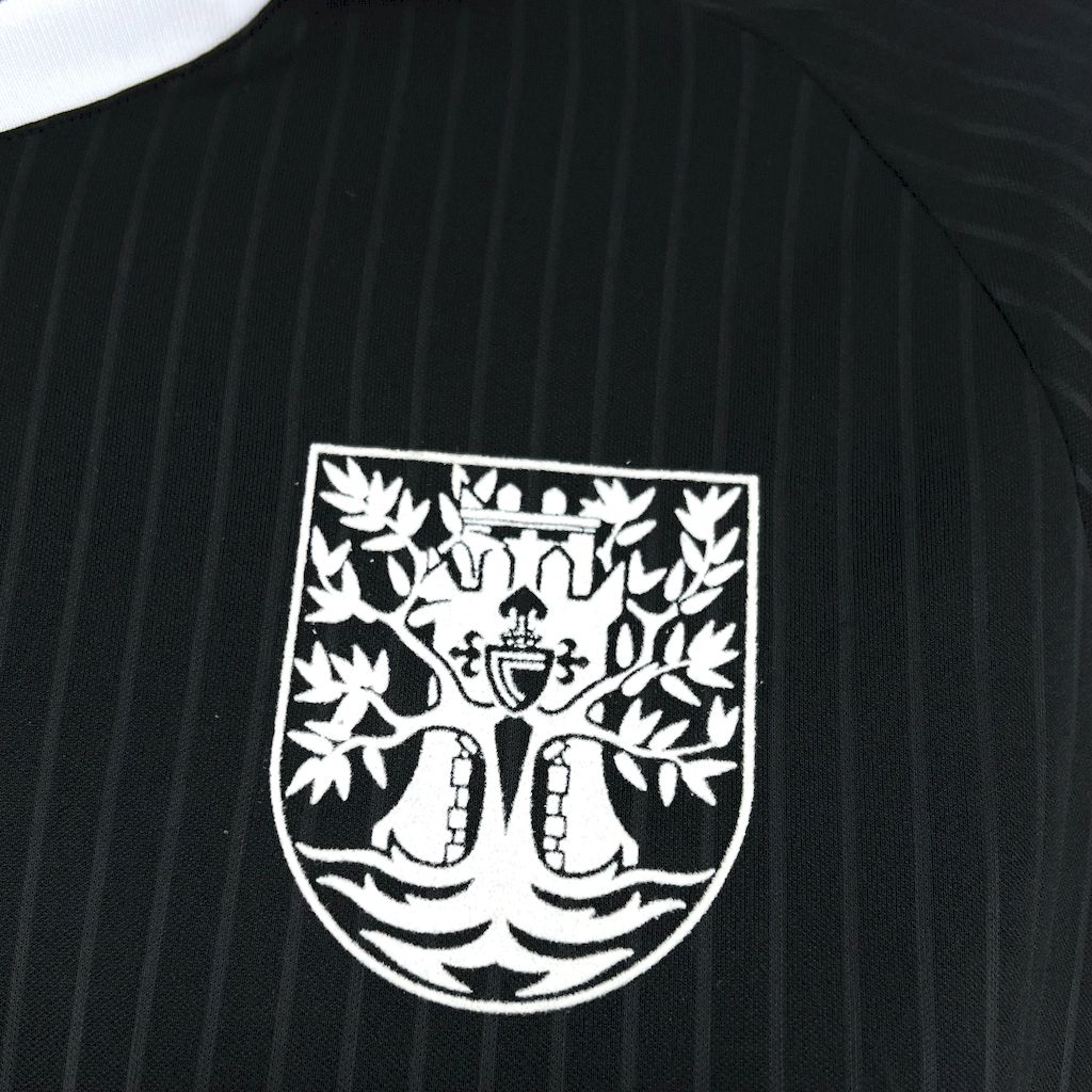 2025061311391982.jpg Mens Celta de Vigo 2025/26 Camiseta Edicion Especial Oliveira Dos Cen Anos Jersey - Image 4