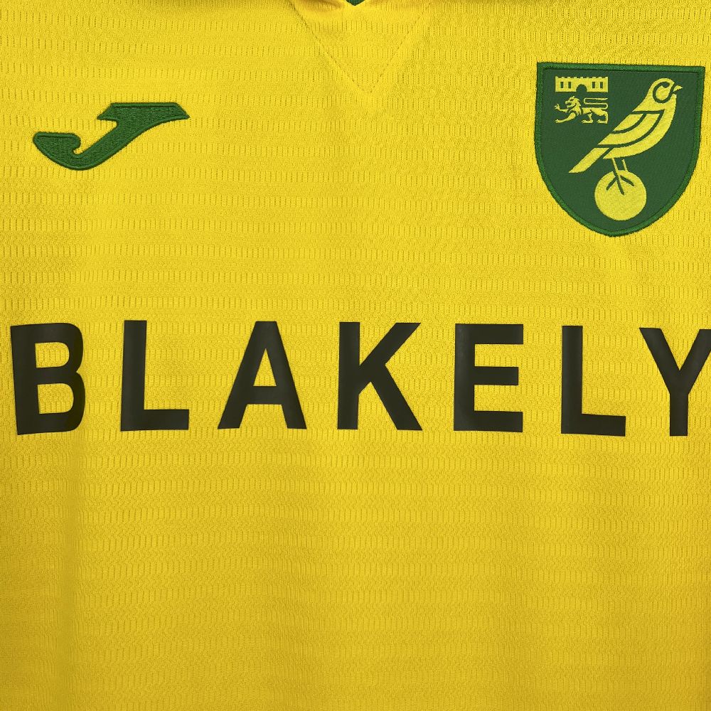 2025080218304891.jpg Mens Norwich City FC 2025/26 Home Jersey - Image 6
