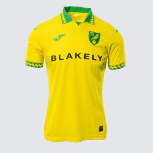 Mens Norwich City FC 2025/26 Home Jersey