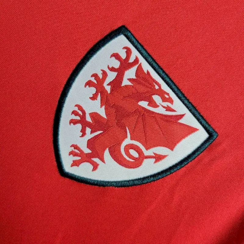 2425-Wales-National-Home-6.jpg Mens Wales 2024/25 Euro Away Jersey - Image 5