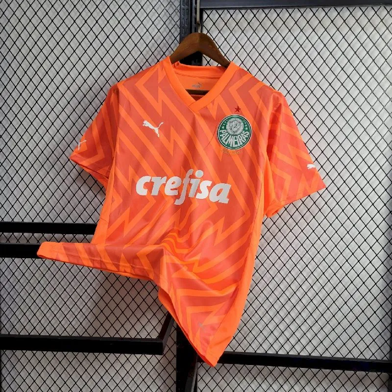28afa17f18723c56a805aa164bda574b.webp Mens Palmeiras2024/25 Goalkeeper Jersey - Image 3