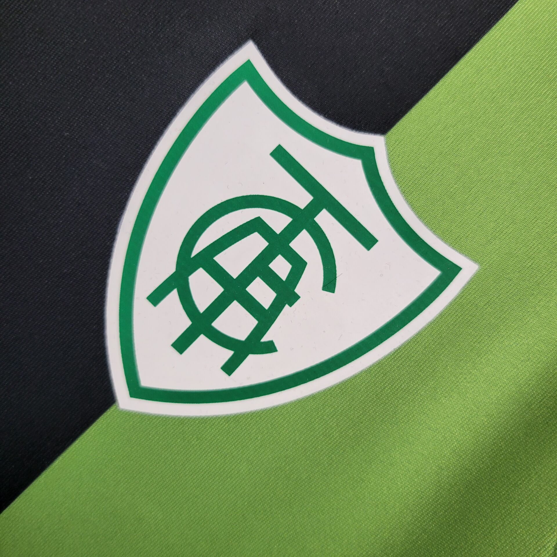 9d6cdbd55e2c8daaa4d22024eb58beb5.jpg Mens América Mineiro 2024/25 Home Jersey - Image 5
