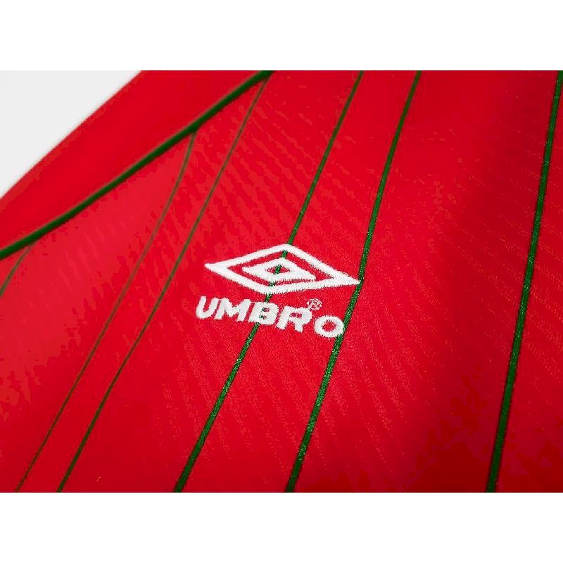 Wales-199496-home-Retro-Jersey-49662.jpg Retro Wales 1994/96 Home Jersey - Image 4