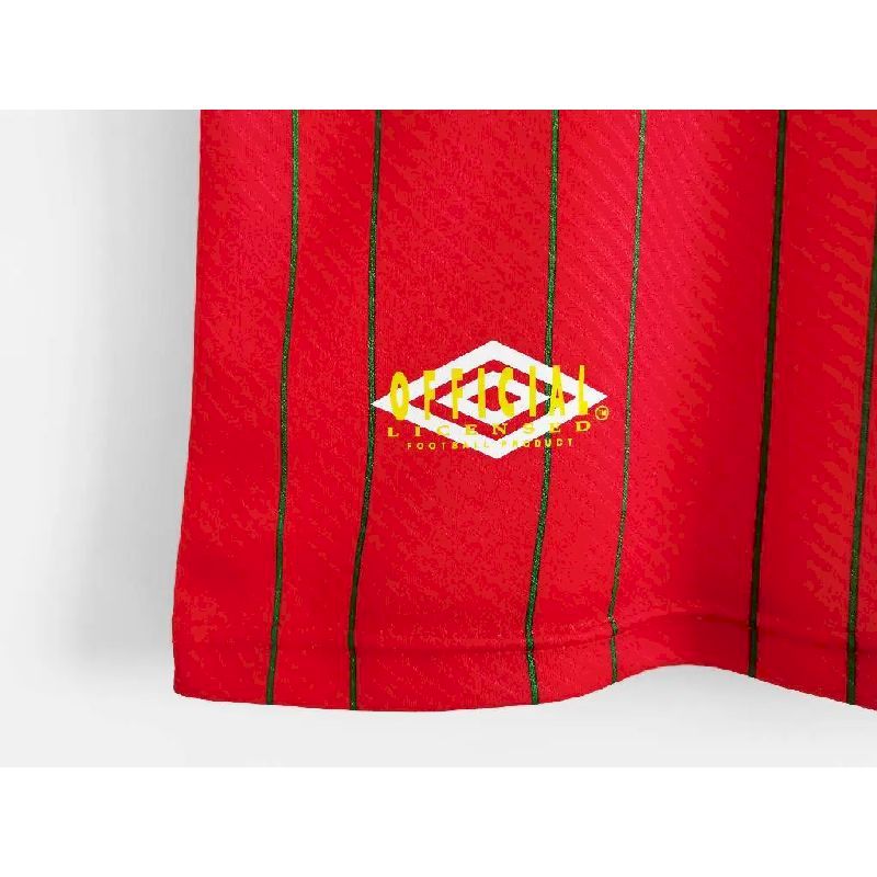 Wales-199496-home-Retro-Jersey-49663.jpg Retro Wales 1994/96 Home Jersey - Image 5
