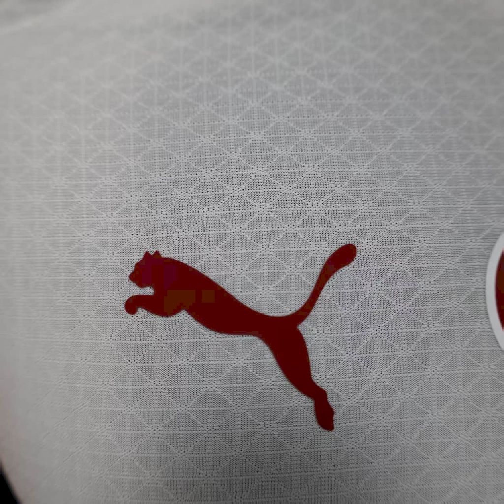 2025092421365738.jpg Mens Galatasarays 2025/26 Away Authentic Jersey - Image 4