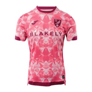 Womens Norwich City FC 2025/26 Third Jersey